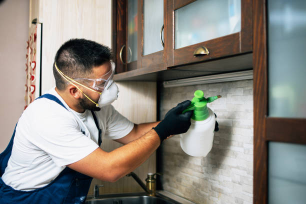 Best Pest Prevention Services  in Suamico, WI
