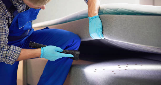 Best Ant Control Services  in Suamico, WI