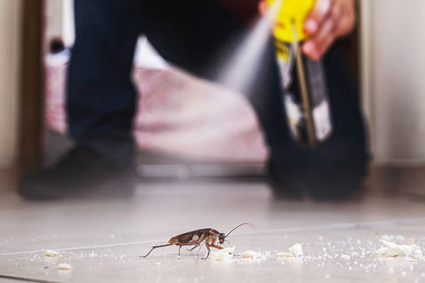 Trusted Suamico, WI Pest Control Experts