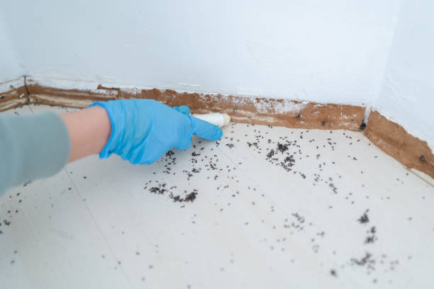 Best Affordable Pest Control Services  in Suamico, WI