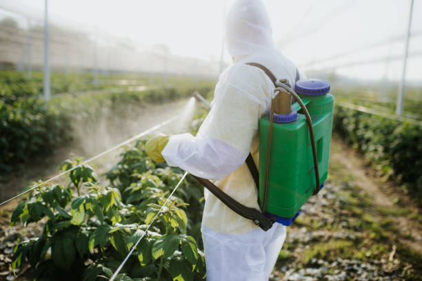 Best Pest Control Near Me in Suamico, WI